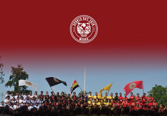 MSD2019 A